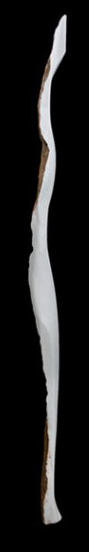 spear-4-d-906x570